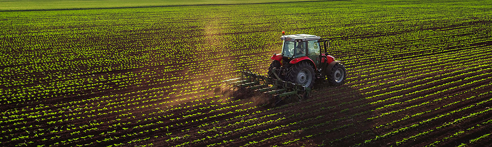 agriculture